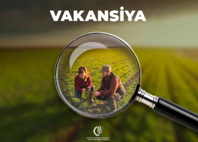 Kənd Təsərrüfatı Nazirliyi 308 vakant vəzifə üzrə işə qəbul elan edib 