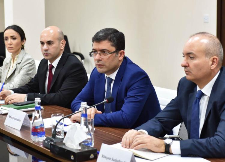 MEDİA-da ATƏT-in media azadlığı üzrə nümayəndəsi Teresa Ribeiro ilə görüş keçirilib - FOTO