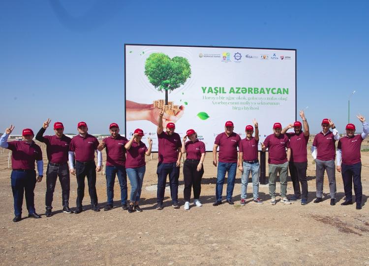 Сотрудники Kapital Bank приняли участие в акции по посадке деревьев 