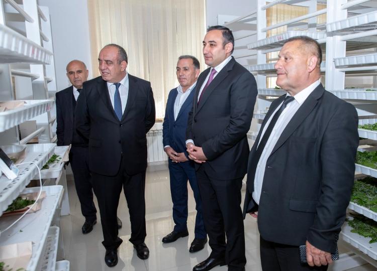 Respublika üzrə kümçülərə ipəkqurdu toxumunun paylanması başa çatıb 