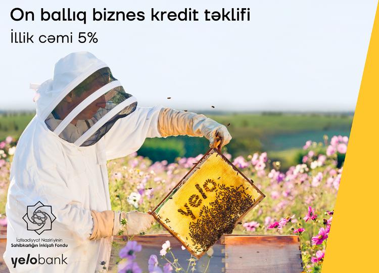 Развивайте свой бизнес с кредитом от Yelo Bank под 5% годовых 