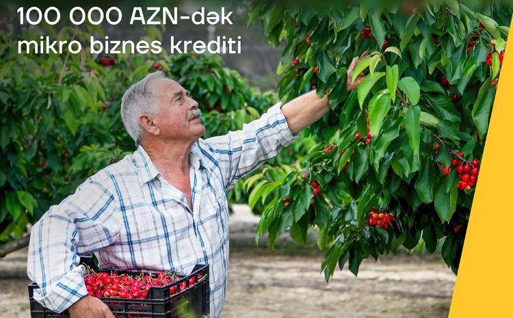 Кредит для микробизнеса до 100 000 АЗН от Yelo Bank 