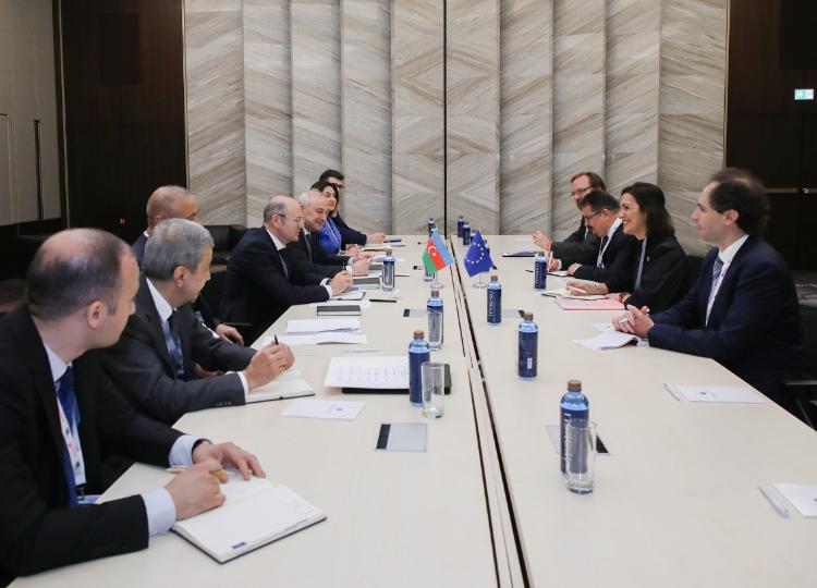 "Bakı Enerji Forumu" çərçivəsində Cənub Qaz Dəhlizinin genişləndirilməsi müzakirə edilib 