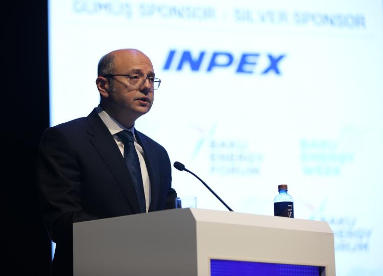 Energetika naziri: "Azərbaycan qonşu ölkələr və Avropa ilə enerji tərəfdaşlığını bir çox alternativ mənbələr üzrə genişləndirən ölkə olacaqdır" 