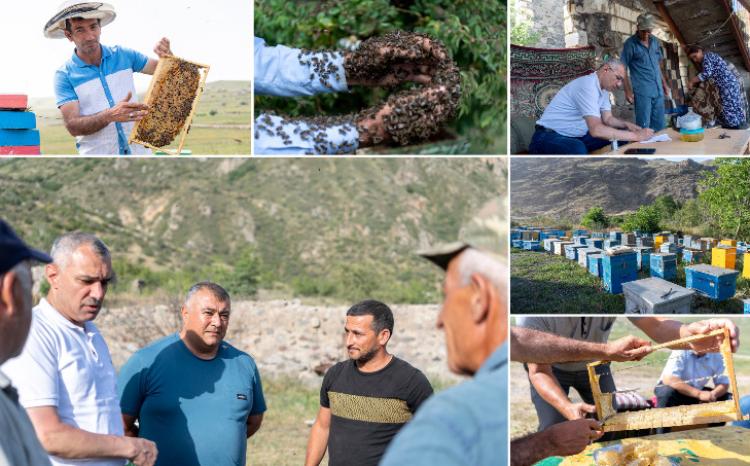 Laçın yaylaqlarına köç etmiş təsərrüfatlarda monitorinqlər aparılır 