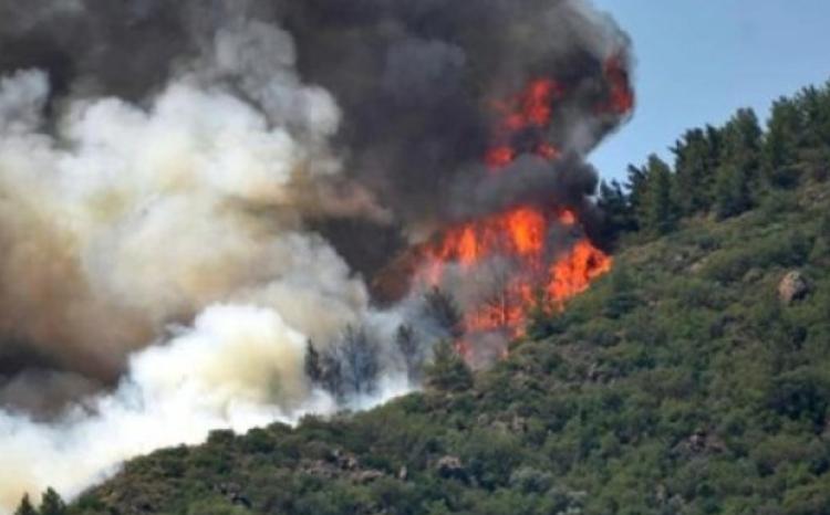 Şabrandakı yanğınla əlaqədar 1 nəfər məsuliyyətə cəlb edildi 