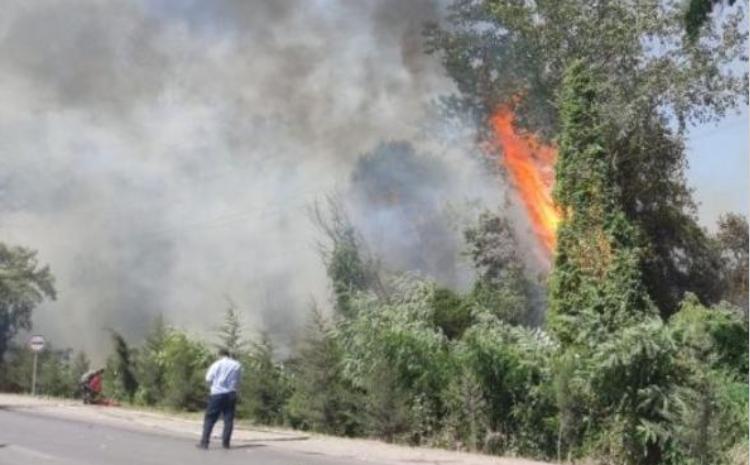FHN Xaçmazdakı yanğınla bağlı məlumat yaydı 