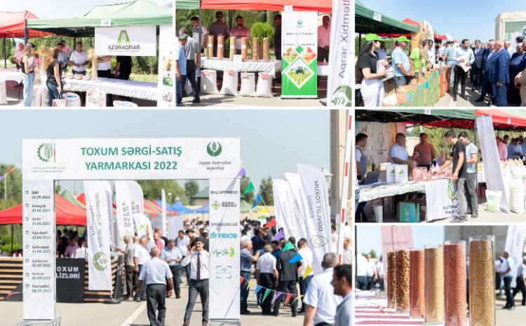 Ağcabədidə toxum sərgi-satış yarmarkası keçirilib 