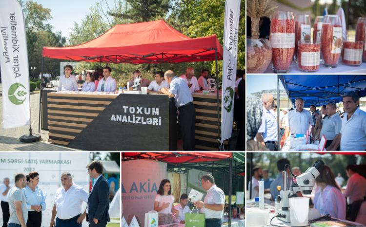 Sabirabad rayonunda toxum sərgi-satış yarmarkası keçirilib 
