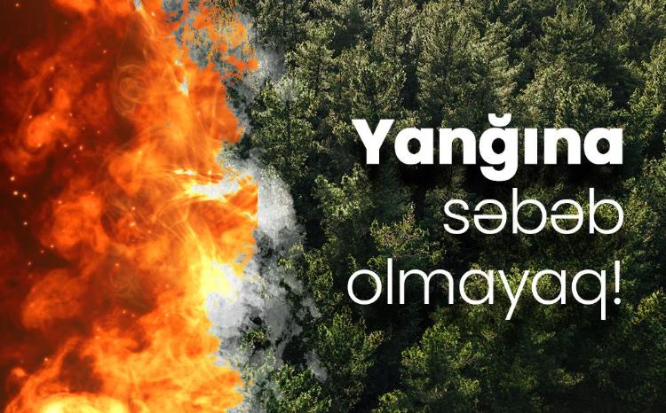 Quba və Şabran rayonlarının meşə ərazisində yanğın başlayıb 