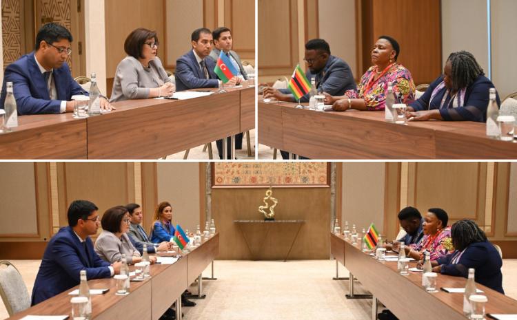 Chair of Milli Majlis Sahiba Gafarova Meets Chair of Senate of Zimbabwe 