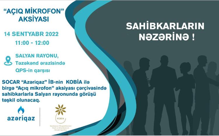 Sahibkarlarla növbəti görüş Salyan rayonunda keçiriləcək 