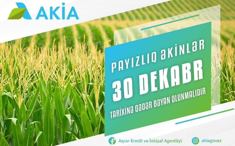 Payızlıq əkin bəyanlarının qəbuluna başlanılıb 