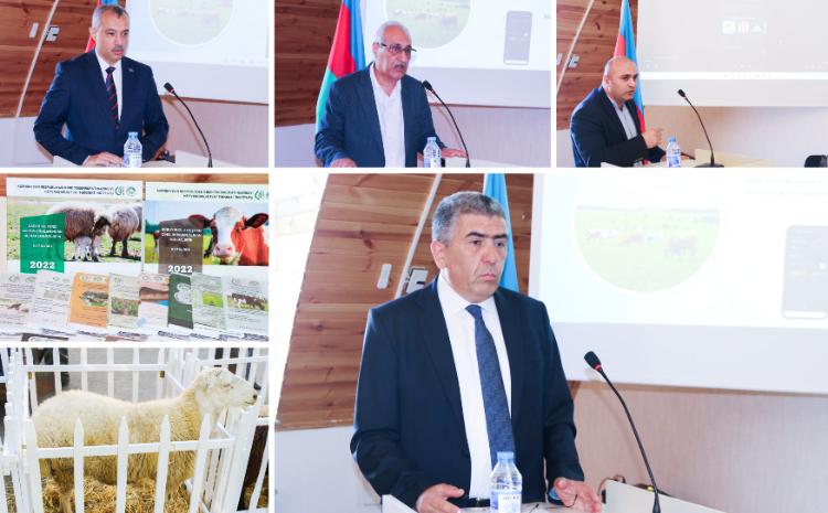 Azərbaycanda yerli heyvan genefondunun qorunması üçün təlimatlar və "Mobil yem kalkulyatoru" tətbiqi hazırlanıb 