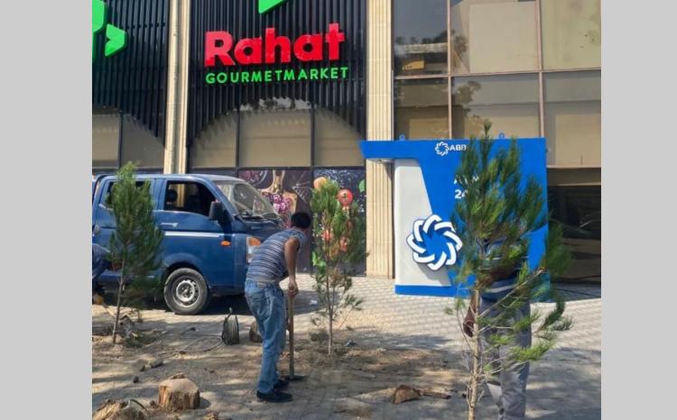 Qurumuş ağacların yerinə yeniləri əkilib 