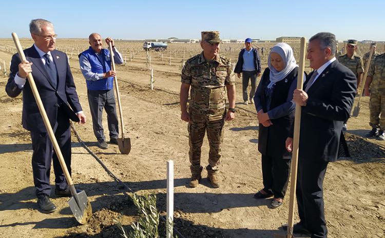 По случаю Дня памяти состоялась акция по посадке деревьев 