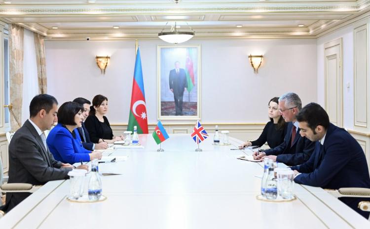 Председатель Милли Меджлиса Сагиба Гафарова встретилась с послом Великобритании в Азербайджане 