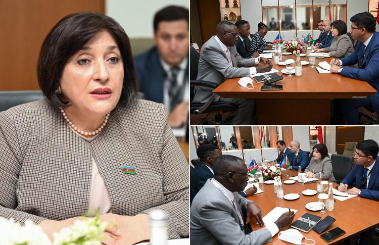 Chair of Milli Majlis Sahiba Gafarova Meets Chairman of Namibian National Council Whilst in Jakarta 