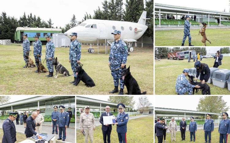 Dövlət Gömrük Komitəsi tərəfindən Minatəmizləmə Agentliyinə təlim keçmiş itlər ianə edilib 