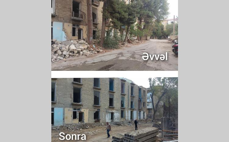 Ağacların qanunsuz kəsildiyi müəyyən edilib 