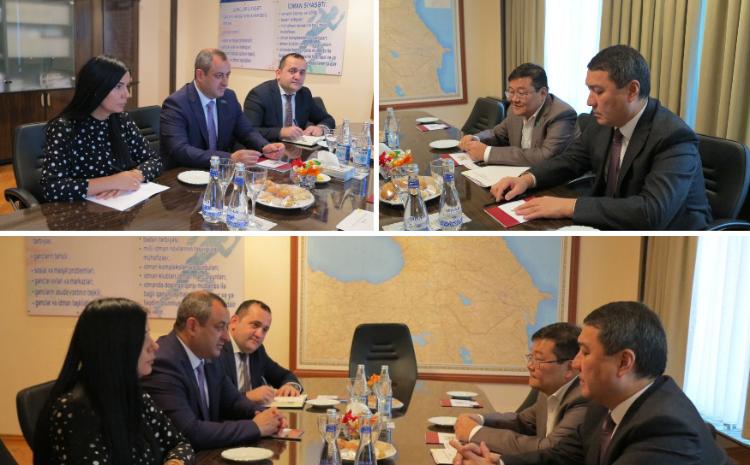 Milli Məclisin sədr müavini Qazaxıstan parlamentinin deputatı ilə görüşüb 
