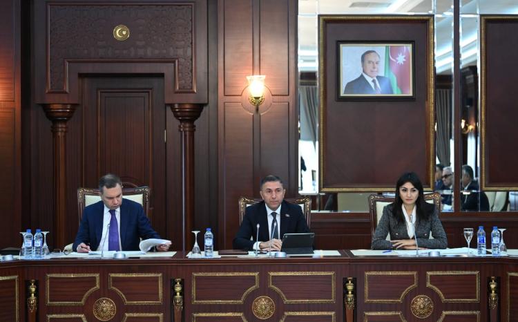 Milli Məclisin İqtisadi siyasət, sənaye və sahibkarlıq komitəsinin iclası keçirilib 