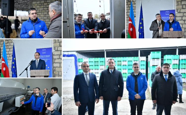 Kürdəmirdə nar şirəsi istehsalı üzrə mini zavod istifadəyə verilib 