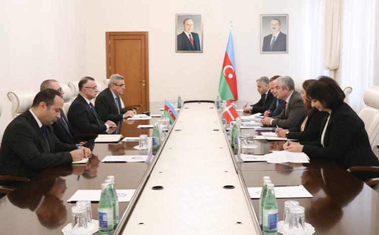 В Минздраве Азербайджана состоялась встреча с делегацией во главе с послом Дании 