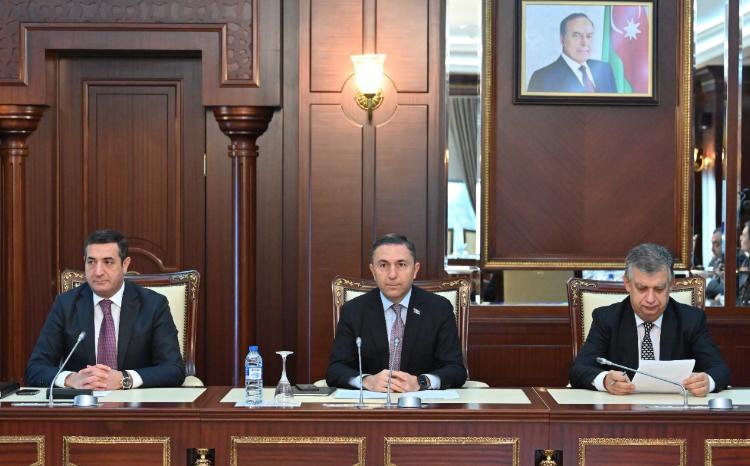 Milli Məclisin İqtisadi siyasət, sənaye və sahibkarlıq komitəsinin iclası keçirilib 