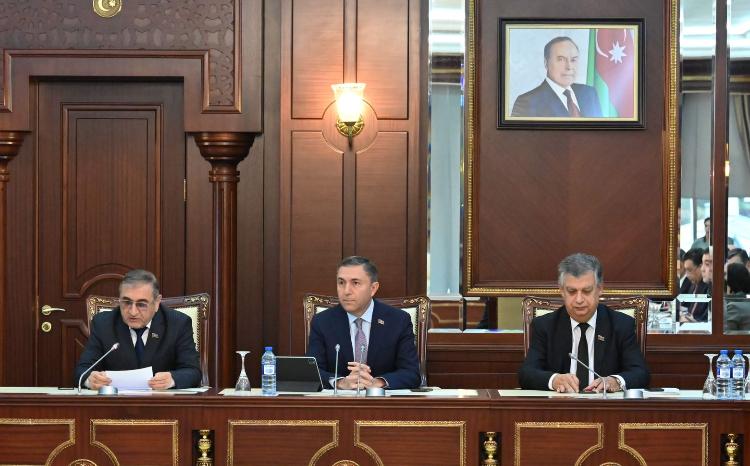 İki komitənin birgə iclası keçirilib 