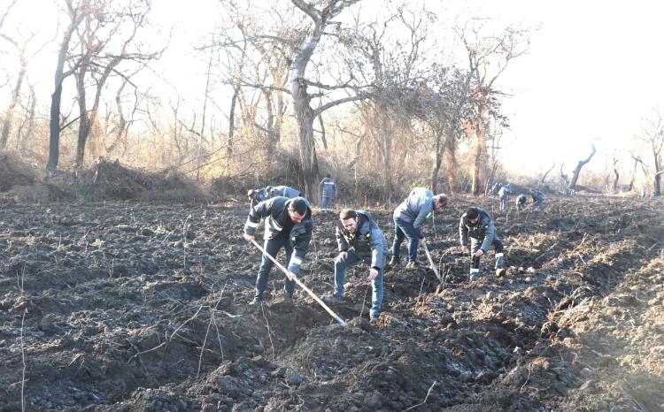 İlə möhtəşəm yekun: daha 140 hektarda əkin və səpin işləri aparılacaq 