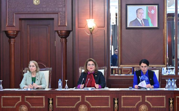 Milli Məclisin komitə iclasında Ailə, Qadın və Uşaq Problemləri üzrə Dövlət Komitəsinin illik məlumatı müzakirə edilib 