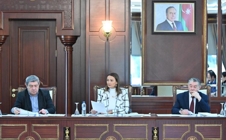 Mədəniyyət komitəsinin iclasında 