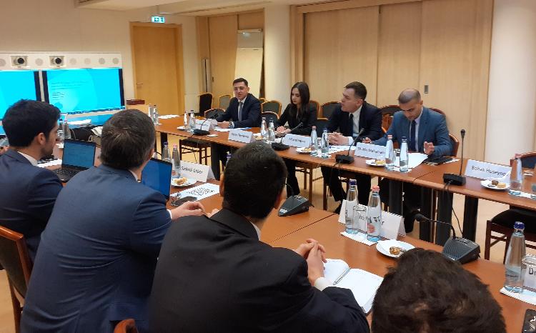 AREA-nın direktor müavini Budapeştdə Enerji üzrə İşçi Qrupunun iclasında çıxış edib 