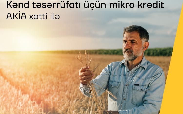 Кредит на развитие сельского хозяйства от Yelo Bank 
