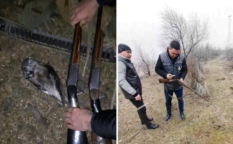 Qanunsuz ov edən şəxslər cəzalandırılıb 