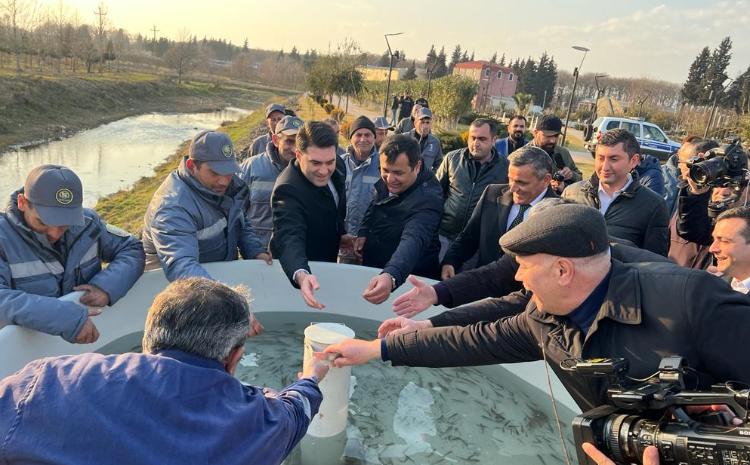 Viləş çayına balıq körpələri buraxılıb 