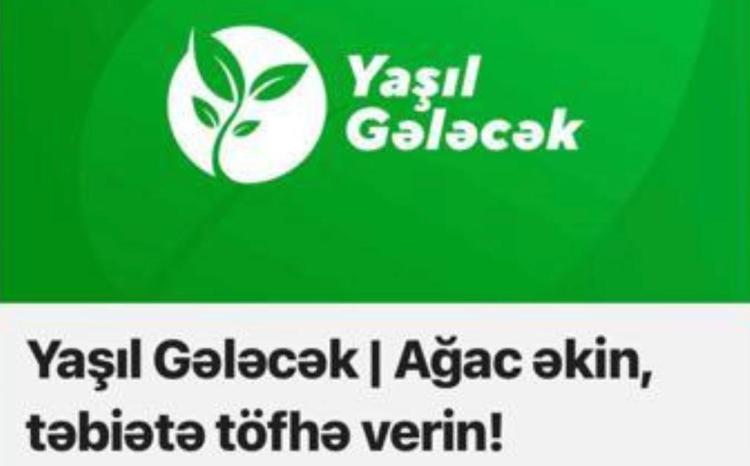 "Yaşıl gələcək" platforması vasitəsilə hər kəs ağac əkməklə təbiətə töhfə verə bilər 