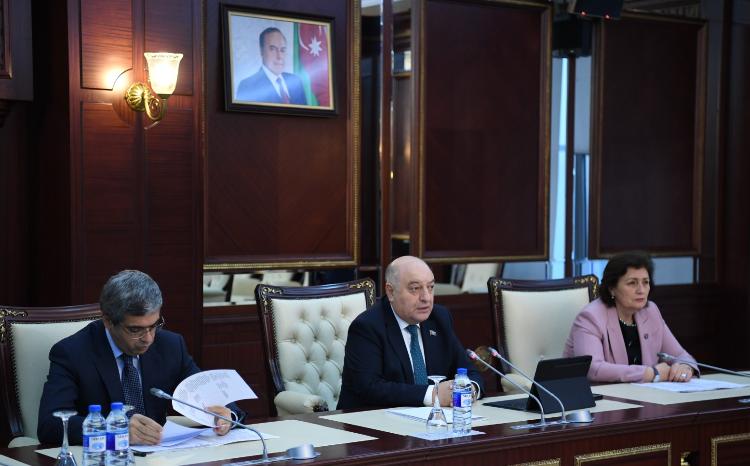 Milli Məclisin Əmək və sosial siyasət komitəsinin iclası keçirilib 