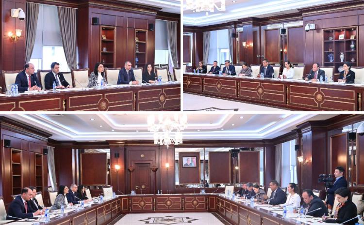 Milli Məclisin və Meksika Deputatlar Palatasının parlamentlərarası əlaqələr üzrə işçi qrupları arasında görüş 