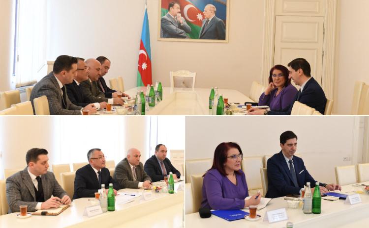 Beynəlxalq Miqrasiya Təşkilatının nümayəndəsi Dövlət Komitəsində olub 