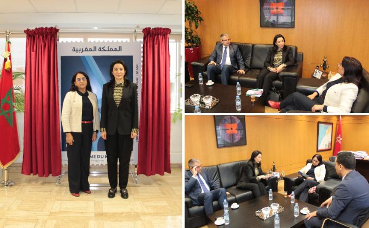 Ombudsman Mərakeş Krallığının Milli İnsan Hüquqları Şurasının sədri ilə görüşüb 