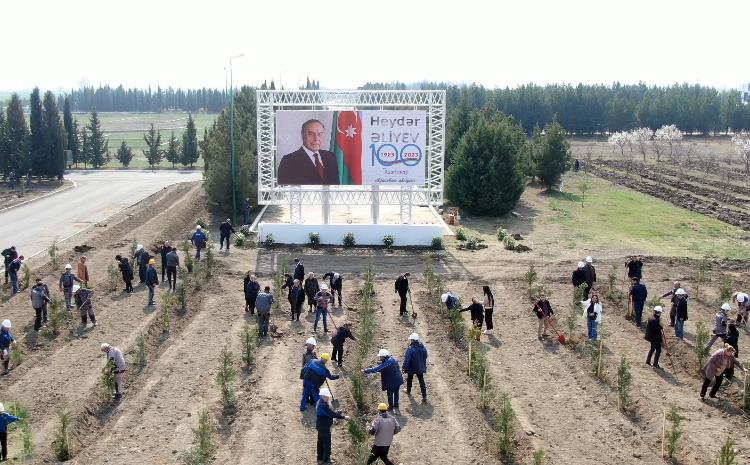«Азерэнержи» проводит ряд мероприятий, посвященных 100-летию Гейдара Алиева - ВИДЕО