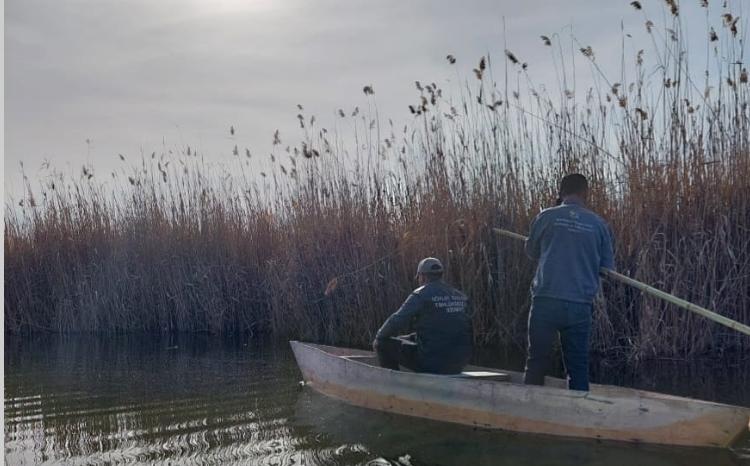 Bioloji Müxtəlifliyin Qorunması Xidmətinin məlumatı 