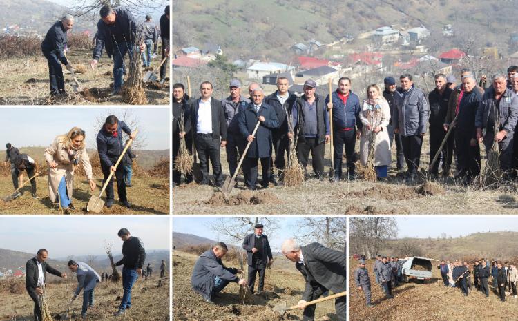 Göygöldə "Heydər Əliyev İli" çərçivəsində ağacəkmə aksiyası keçirilib 