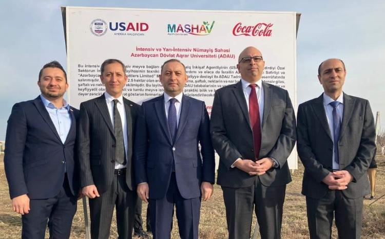 Ağacəkmə kampaniyası keçirilib 