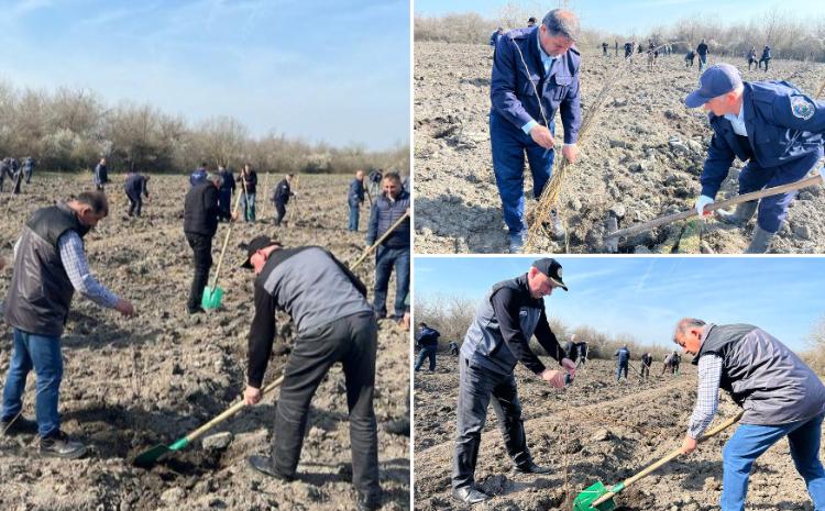 Yaz ağac əkini mövsümü başlayandan bugünədək meşə fondu torpaqlarında 800 mindən artıq ağac əkilib 