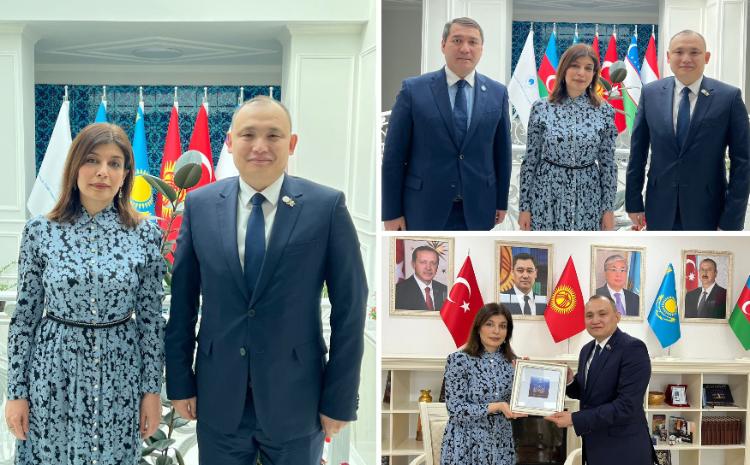 Гюнай Эфендиева встретилась с Канатом Тумышем 