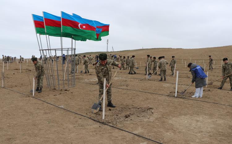 Vətənin müdafiəsində dayanan hərbi qulluqçular ağac əkərək təbiətimizə töhfə verib 