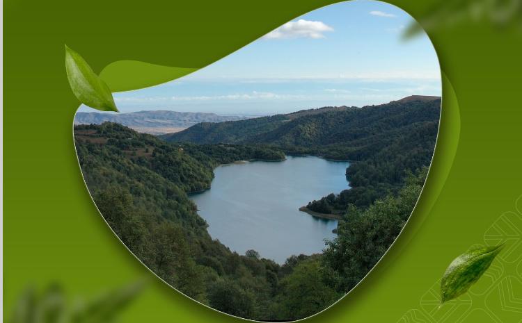 21 mart "Beynəlxalq Meşələr Günü"dür 